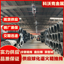 SWRM10�P�l  ��̼���䓱P�A ������ �ݽz�Tᔌ����Ͼ���  SWRM10