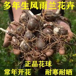 ���L���m�N����������ˮ�ٺϻ��N����m�N����피t�ؼt���N��