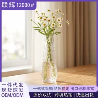 跨境热卖复古轻奢透明玻璃花瓶创意水培插花高级感花瓶工厂批发
