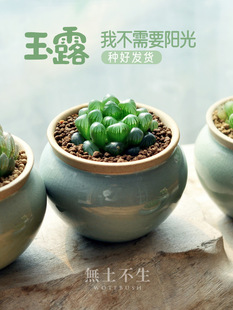 Ʒ⻨ʮ¶ֲ҃kҾGֲB