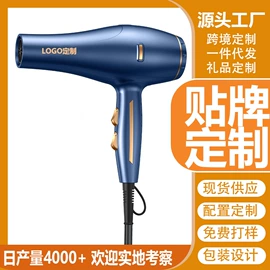 电吹风;电子灭蚊器