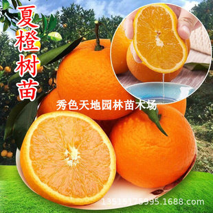 �ĳȼ޽������Ě�����Ե��Թ����箔��Y�����¼t��������ĳ���