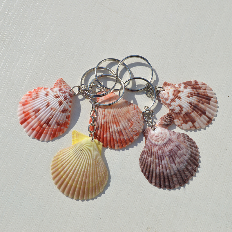 화려한 가리비 열쇠고리