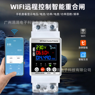 Wifi Tuya Remote Control 2P Leakage Protector Intelligent Reclosing Overvoltage Undervoltage Overcurrent Protection Controller
