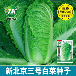 �S�����l�±�����̖�ײ˷N���s�������;G��ײ˷N�Ѱ��^�ײ��ѷN