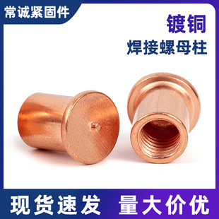 ����~������ĸ/�c����ĸ/������ĸ��/���ݼy�����ݽzM4-M8