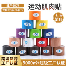 �����N�\���o�׷�������Ч�N���������o�_���N������N�O������