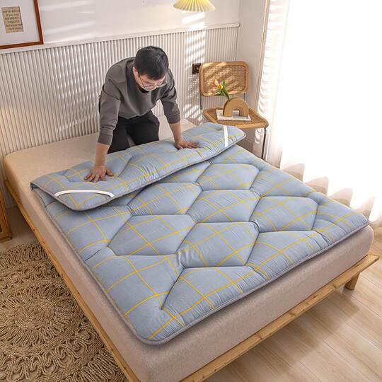 Nantong Home Textile Mattress 90X1 m X1 m 8X2 m Upper and Lower Bed Mattress Sanding Thickened Student Dormitory Single Person