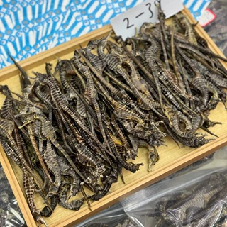 正品溯源码海马海味水产干货炖汤药煲汤泡酒材滋补养生膨腹海马