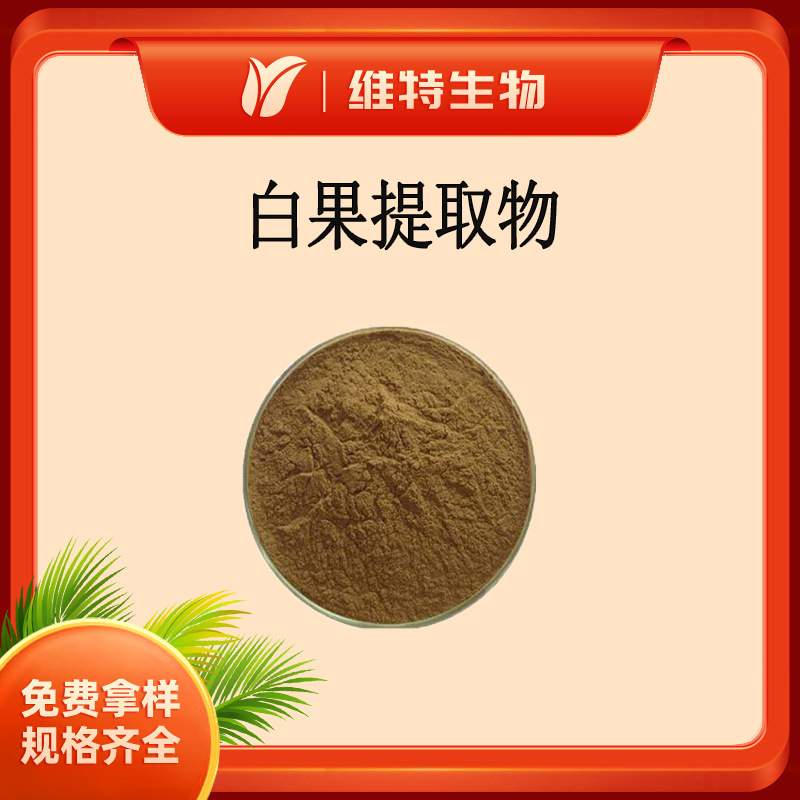 白果提取物10:1 银杏子提取物 水溶白果浓缩粉