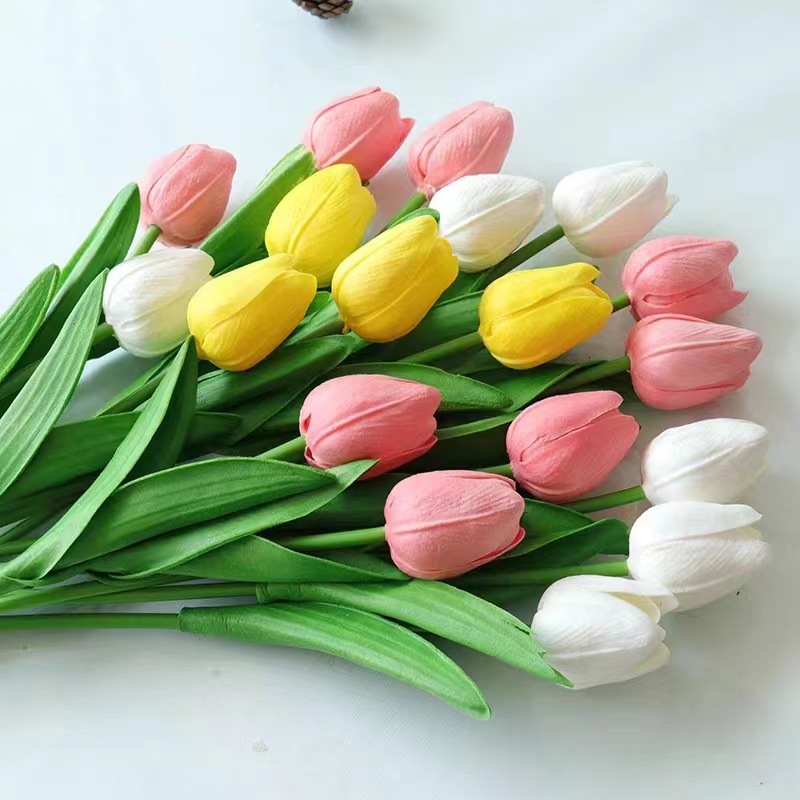 dae6f573acb4473d4185eadf32e69e