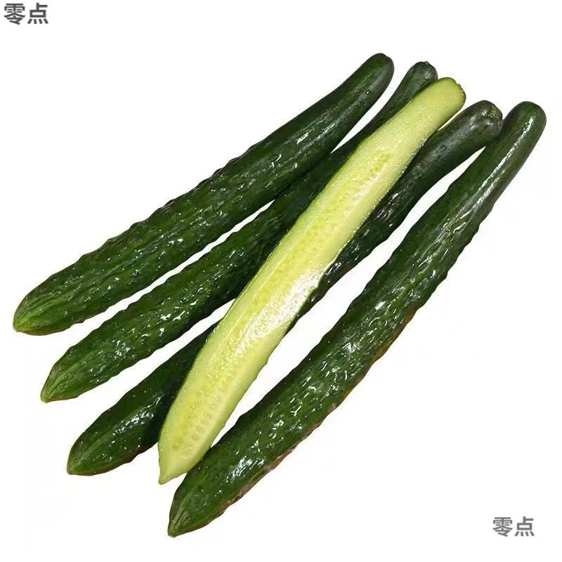 河北省農家の野菜グリーンハートとげのある果物キュウリ新鮮な生のキュウリはシャキシャキしていて美味しいとげのあるキュウリ卸売送料無料|undefined