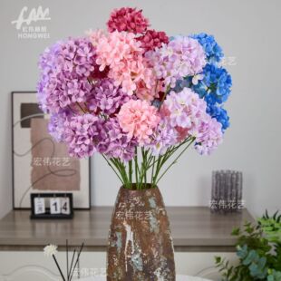 5�^�ǹ�������滨  �����|��ins�L�b�