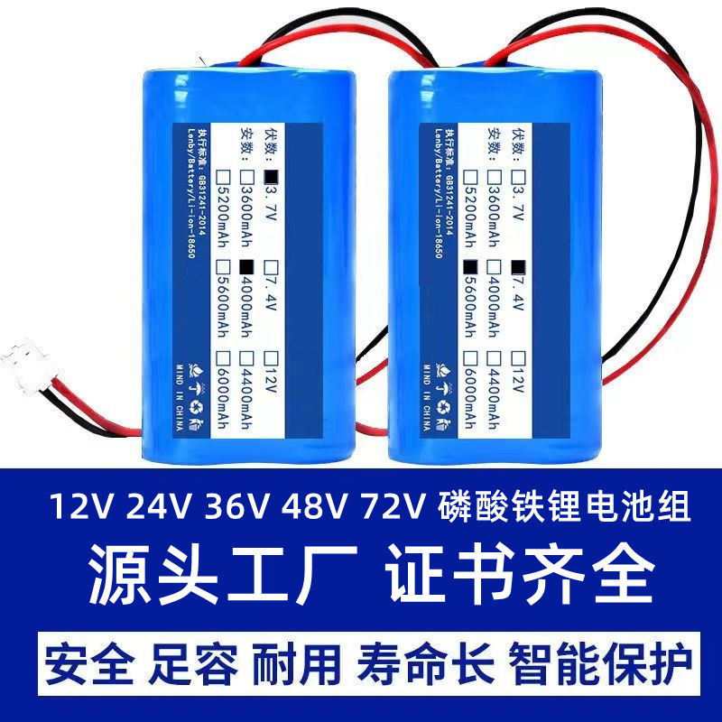 Customized 12V24V48V64 Volt Rv Lithium Battery Pack Power 18650 Lithium Iron Phosphate Battery Cell Large Unit