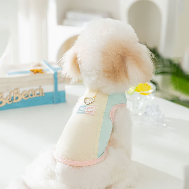 Primavera y verano perro macaron mariposa pequeña malla protector solar chaleco de tracción fresco gato ropa de perro mascota de dos patas