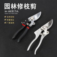 修枝剪园林工具剪刀树枝剪刀花园绿化园林园艺剪刀省力绿化粗枝剪