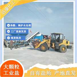 批发工业级大颗粒盐 99含量工业粗盐 工业用大颗粒工业盐现货厂家