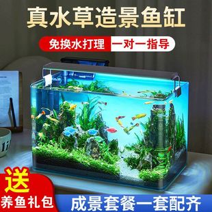 Mini Flawless Fish Tank Aquarium Living Room Small Goldfish Free Ecological View Desktop Water Change High-Definition Small Landscaping