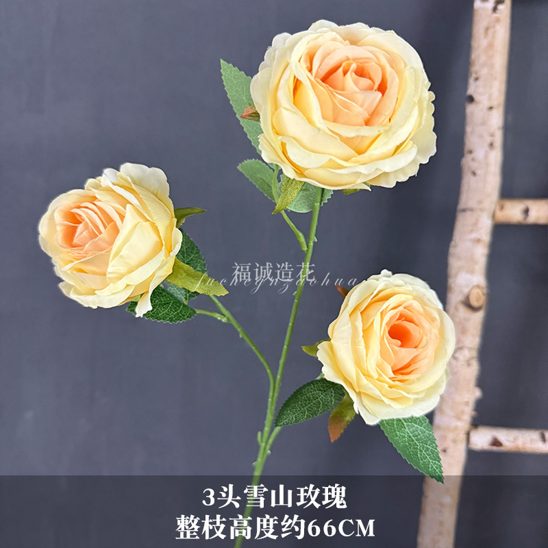 3송이 설산 장미