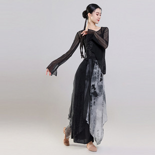 Classical Dance New Chinese Style Ink Painting National Style Chinese Dance Art Exam Dance Performance Clothing Practice Clothing Hot New Style