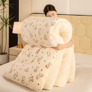 Winter Thickened Lamb Fleece Quilt Winter Quilt Warm Quilt Core Single Dormitory Student Spring and Autumn Quilt Coral Fleece Quilt