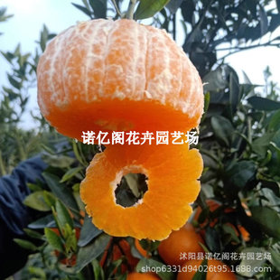 ���٘�������Ҋ���ӹ�����̽ۘ���޽ӽ������ϱ���ͥԺ�̨�ԷN