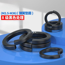 ��M2.5-M36��8�� �ߏ��|���|Ȧ/���ɉ|Ƭ ���| �l��