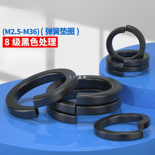 M2.5-M368 ߏ||Ȧ/ɉ|Ƭ | l