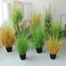 ������b��Ѳ݈F�[���JȔ��̦�ݼٲ݅����~��ľ�ݾGֲ�쾰�^����