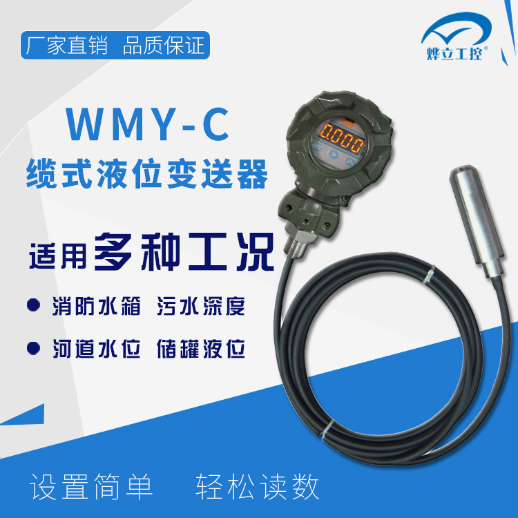 WMY-C静压液位计/导气电缆液位变送器/扩散硅投入式液位变送器