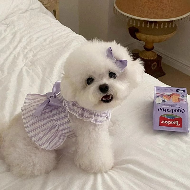 Perro primavera verano princesa viento lindo pequeño vestido de rayas de manga voladora gato perro mascota ropa falda de lazo