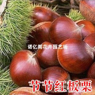 �����t���������ش�޽ӹ����̨���Թ���ͥԺ���d�����ϱ����Nֲ