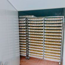 �_�h����ɷ� ���ô�����ș�ĺ�əC ���R�՚��ܟ��ȫ�Ԅ�늿���