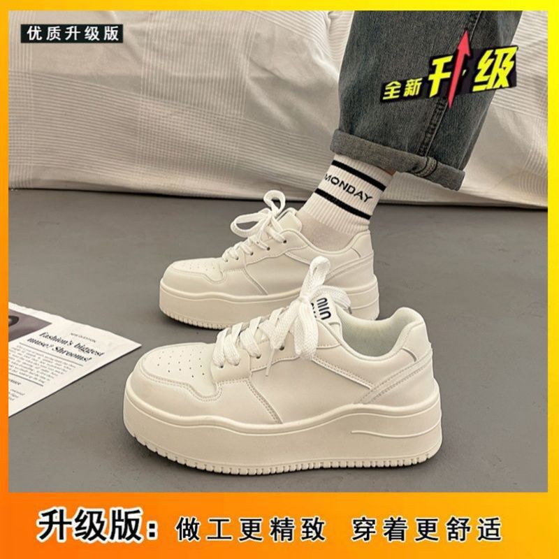 오프화이트 [부티크 업그레이드 버전]