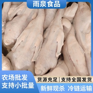 �V�|���h�����Z�������Z���á����r����Z��ֻ�Z��Ƶ���D����