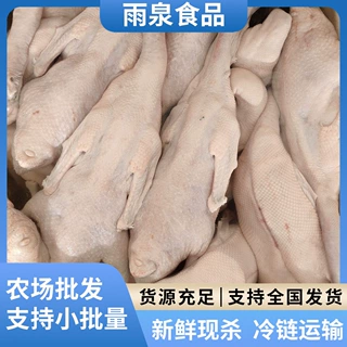广东清远黑棕鹅【做烧鹅专用】新鲜冷冻鹅整只鹅肉酒店烧腊商用
