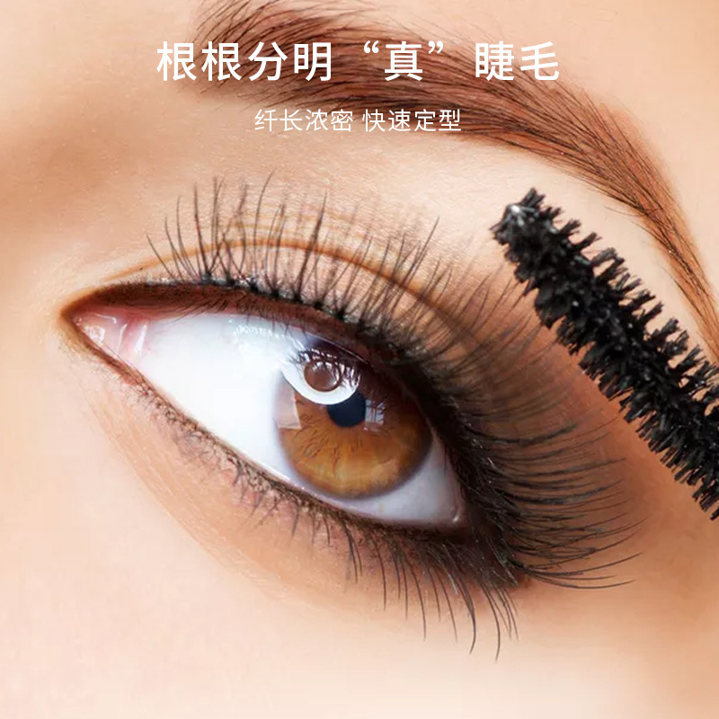 Shedoes Caracol impermeable fácil removedor de maquillaje grueso alargamiento curling cepillo de silicona rimel transfronterizo exclusivo para los fabricantes