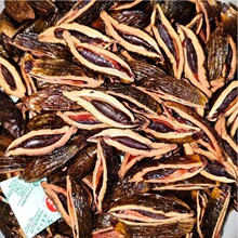 ����S�;W�t�������̶���ә��ƺ����خa�b�������