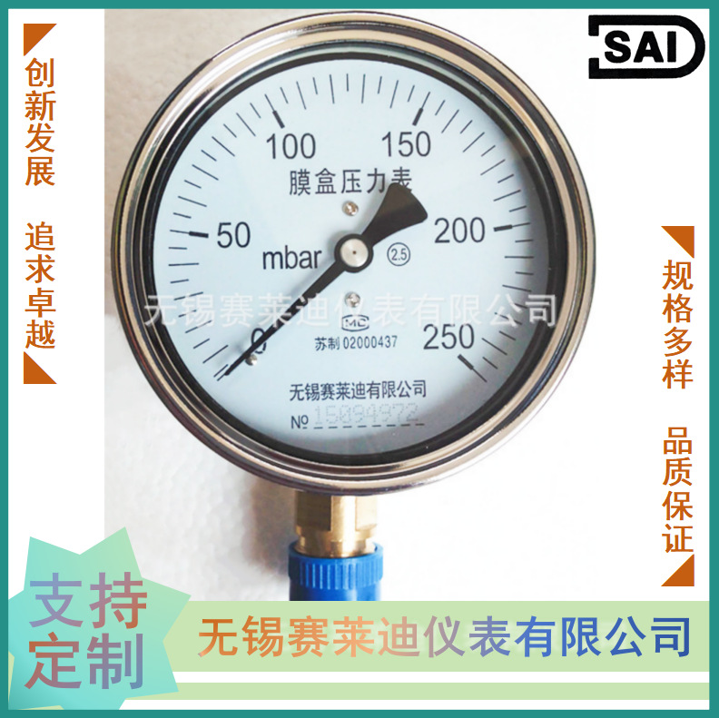无锡赛莱迪 膜盒压力表 YE-100 煤气压力表