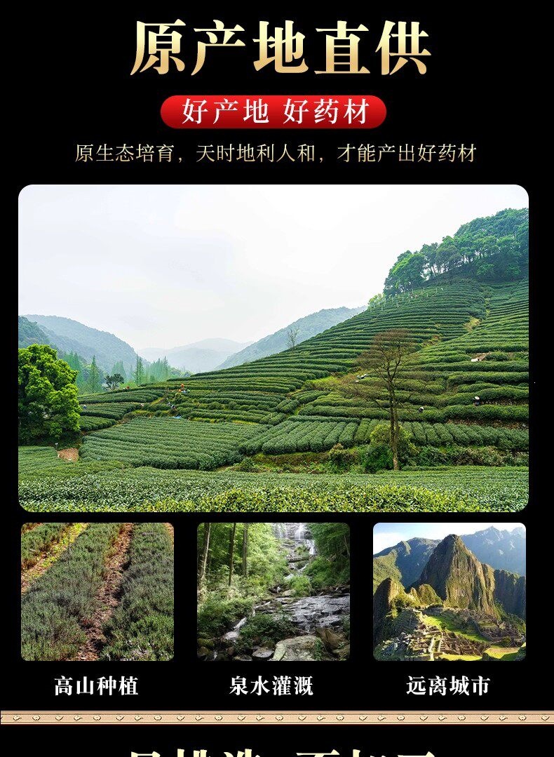 Dried Gorgon Fruit Qian Shi Euryale Ferox Seeds 6-9mm for Tea Soup and Tangyuan 2500g key features