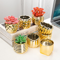 Creative Nordic Plated Gold Succulent Plant Pot, Succulent Planter, Simple Gold Color, Exports, Cross-border Pot Plant