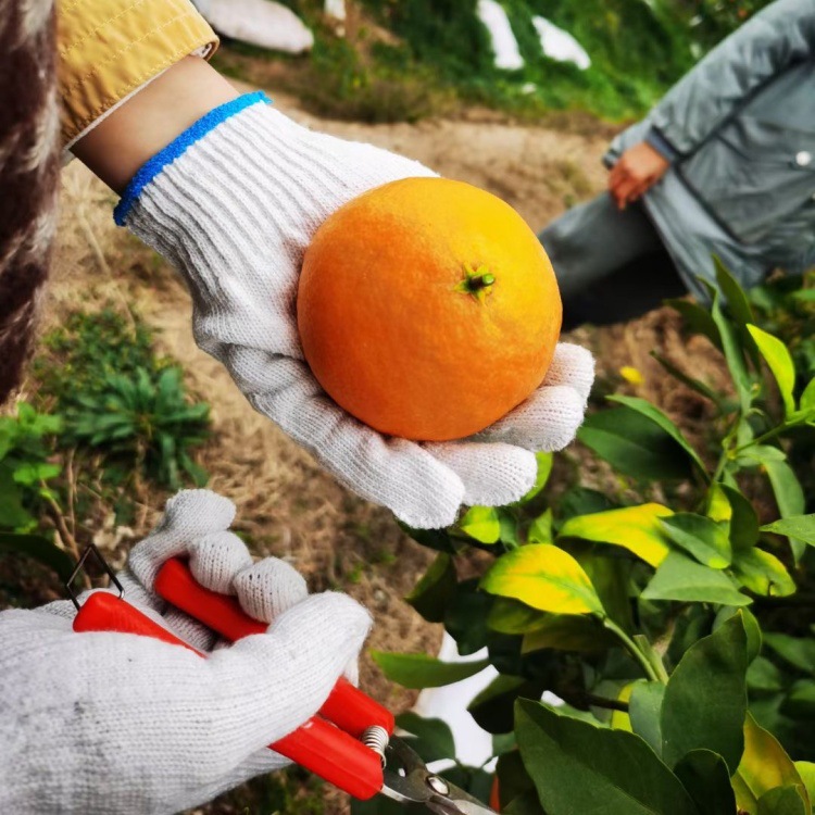 IMG_1337(20231216-142317)