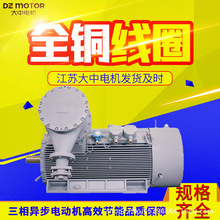 江苏大中电机马达TYCPX低速直驱永磁同步电动机132kw160kw200kw