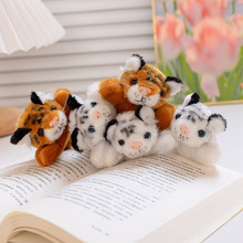 �ɐ۴���С�ϻ������Në�q��߹��д��F�Sɫ�ϻ���ż��ͯ��ż����