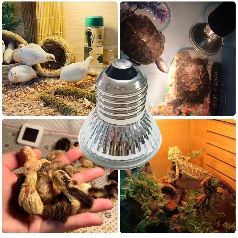 微信图片_20240401084353