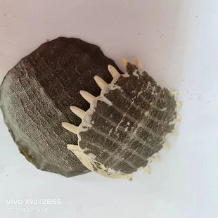 ͬ��ș�� ���M�� �o���M�� �Ĵ��a �ɶȺ� �����Ľ��I Ʒ�N�Rȫ