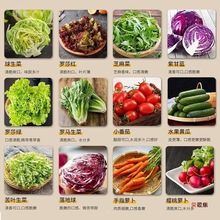 蔬菜沙拉套餐50g包新鲜混合生菜餐送即食玉米粒鸡胸肉厂