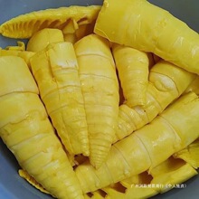 ��ϵº��������r�S�S���S�S���S�SƬ�_θ��Sˬ�ڳ��˟��� ���]