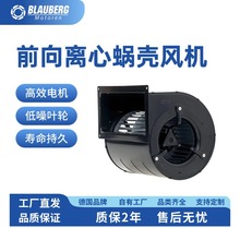 ������146mm�p�M�L΁���L�C �L�C���ܸ���EC�L�C�x��EC�L�C���l