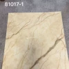 MY-81017-1